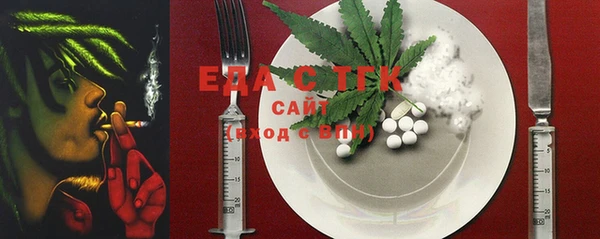 индика Балахна
