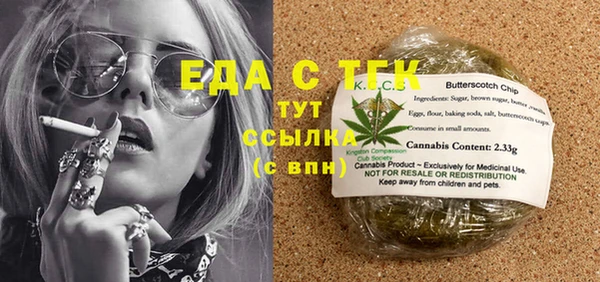 индика Балахна