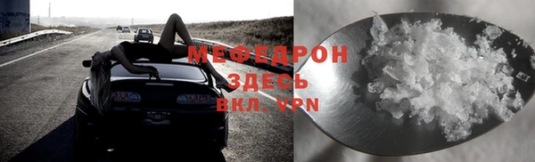 индика Балахна