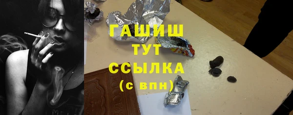 индика Балахна